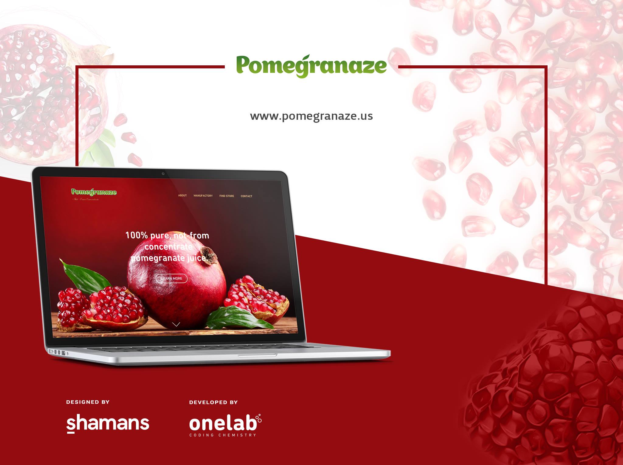 Pomegranaze website showcase